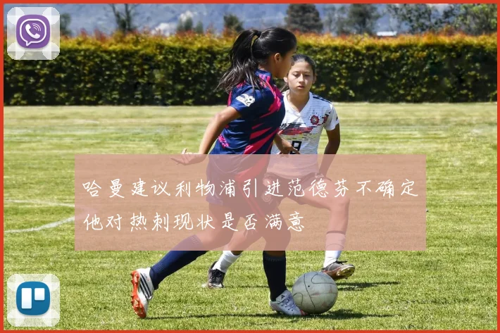 哈曼建议利物浦引进范德芬不确定他对热刺现状是否满意